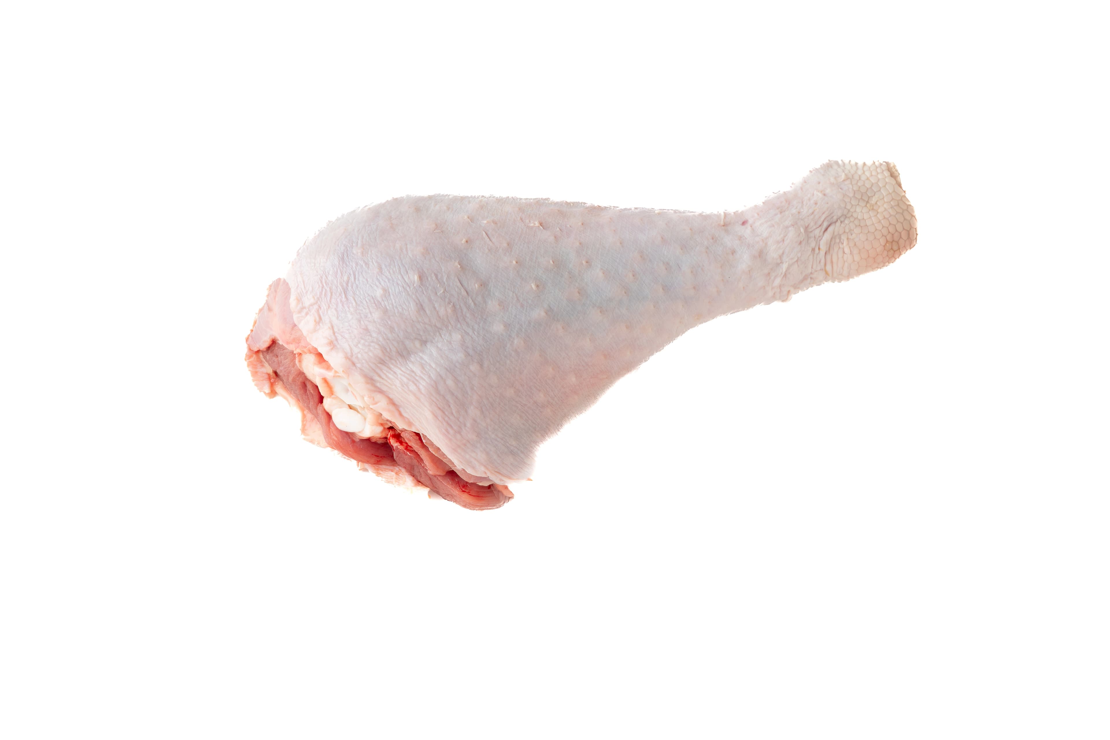 ساق بوقلمون