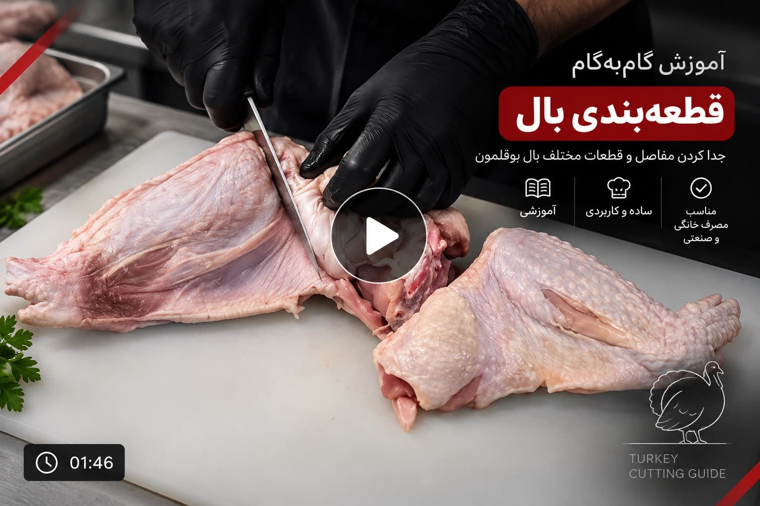 قطعه بندی بال